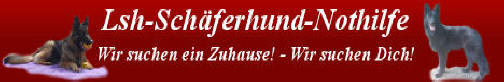 www.lsh-schferhund-nothilfe.de